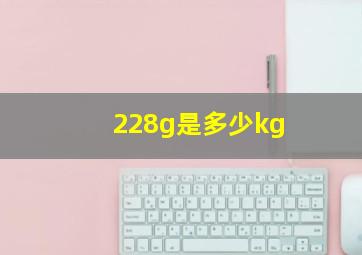 228g是多少kg