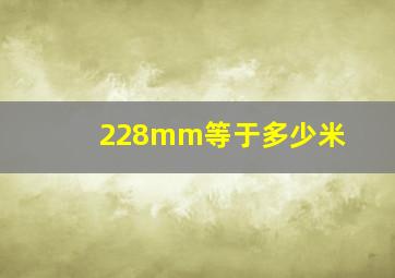 228mm等于多少米