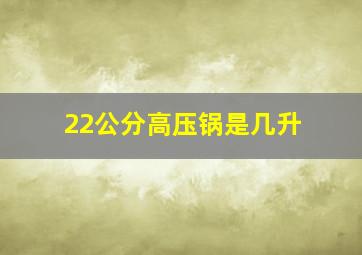 22公分高压锅是几升