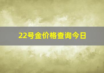 22号金价格查询今日