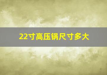 22寸高压锅尺寸多大