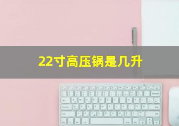 22寸高压锅是几升