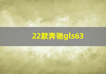 22款奔驰gls63