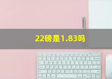 22磅是1.83吗