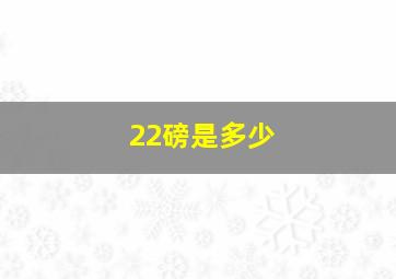 22磅是多少