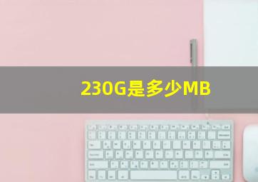 230G是多少MB