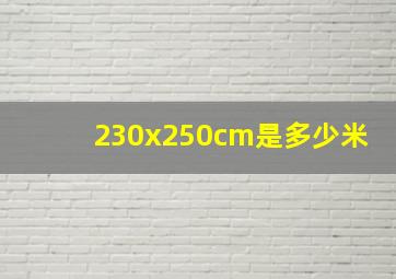 230x250cm是多少米