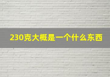 230克大概是一个什么东西