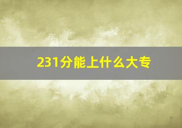 231分能上什么大专