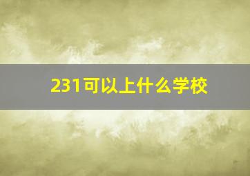 231可以上什么学校