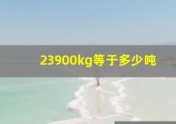 23900kg等于多少吨