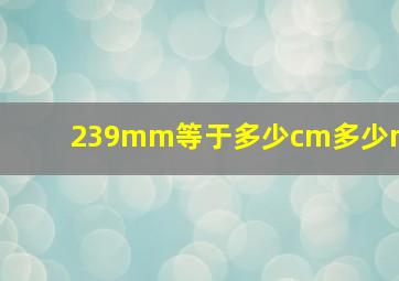 239mm等于多少cm多少m