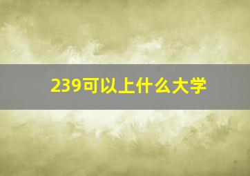 239可以上什么大学