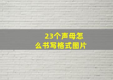 23个声母怎么书写格式图片