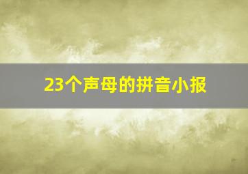 23个声母的拼音小报