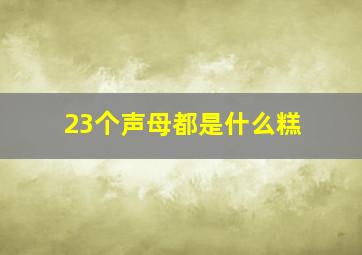 23个声母都是什么糕