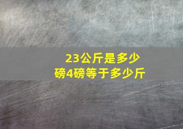 23公斤是多少磅4磅等于多少斤