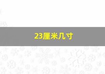 23厘米几寸