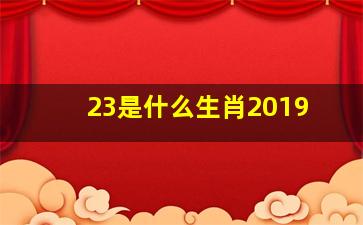 23是什么生肖2019