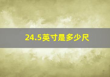 24.5英寸是多少尺