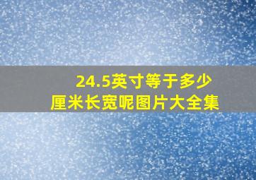 24.5英寸等于多少厘米长宽呢图片大全集