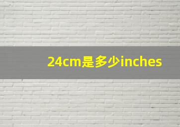 24cm是多少inches