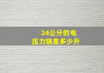 24公分的电压力锅是多少升