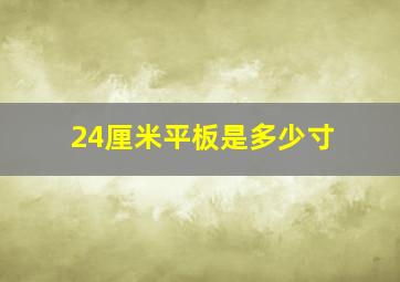 24厘米平板是多少寸