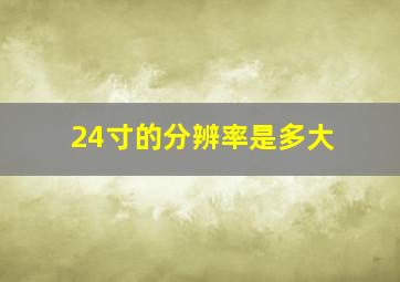 24寸的分辨率是多大