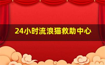 24小时流浪猫救助中心