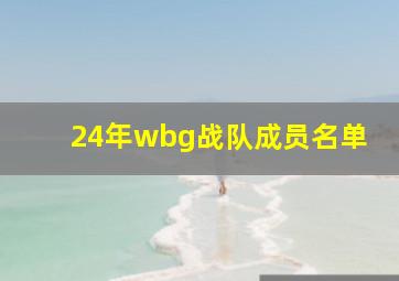 24年wbg战队成员名单