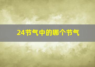 24节气中的哪个节气