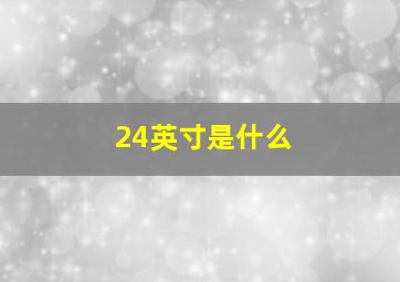 24英寸是什么