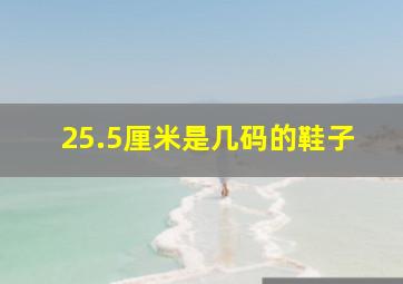 25.5厘米是几码的鞋子