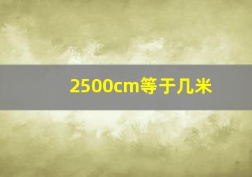 2500cm等于几米