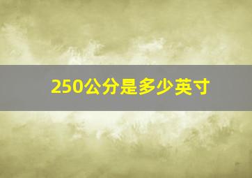 250公分是多少英寸