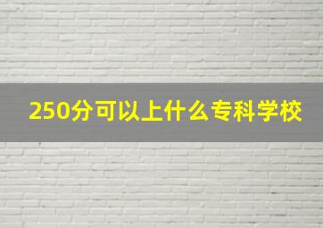 250分可以上什么专科学校