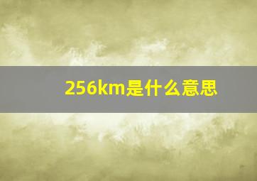 256km是什么意思