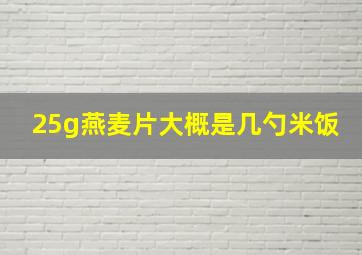 25g燕麦片大概是几勺米饭