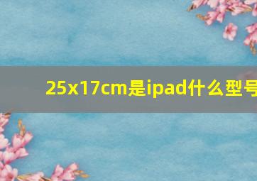 25x17cm是ipad什么型号