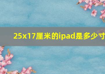 25x17厘米的ipad是多少寸