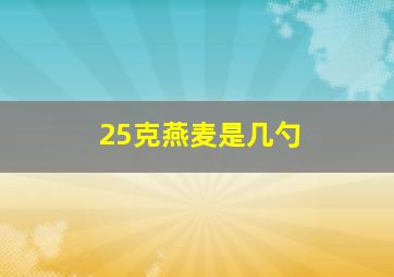 25克燕麦是几勺