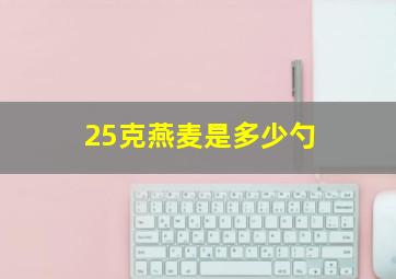 25克燕麦是多少勺