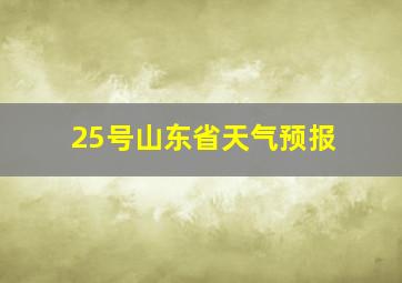 25号山东省天气预报