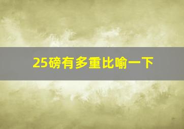 25磅有多重比喻一下