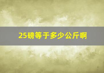 25磅等于多少公斤啊