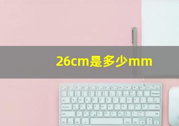 26cm是多少mm