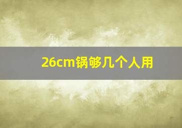 26cm锅够几个人用