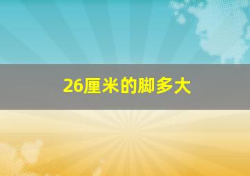 26厘米的脚多大