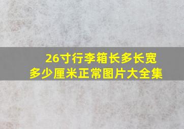 26寸行李箱长多长宽多少厘米正常图片大全集